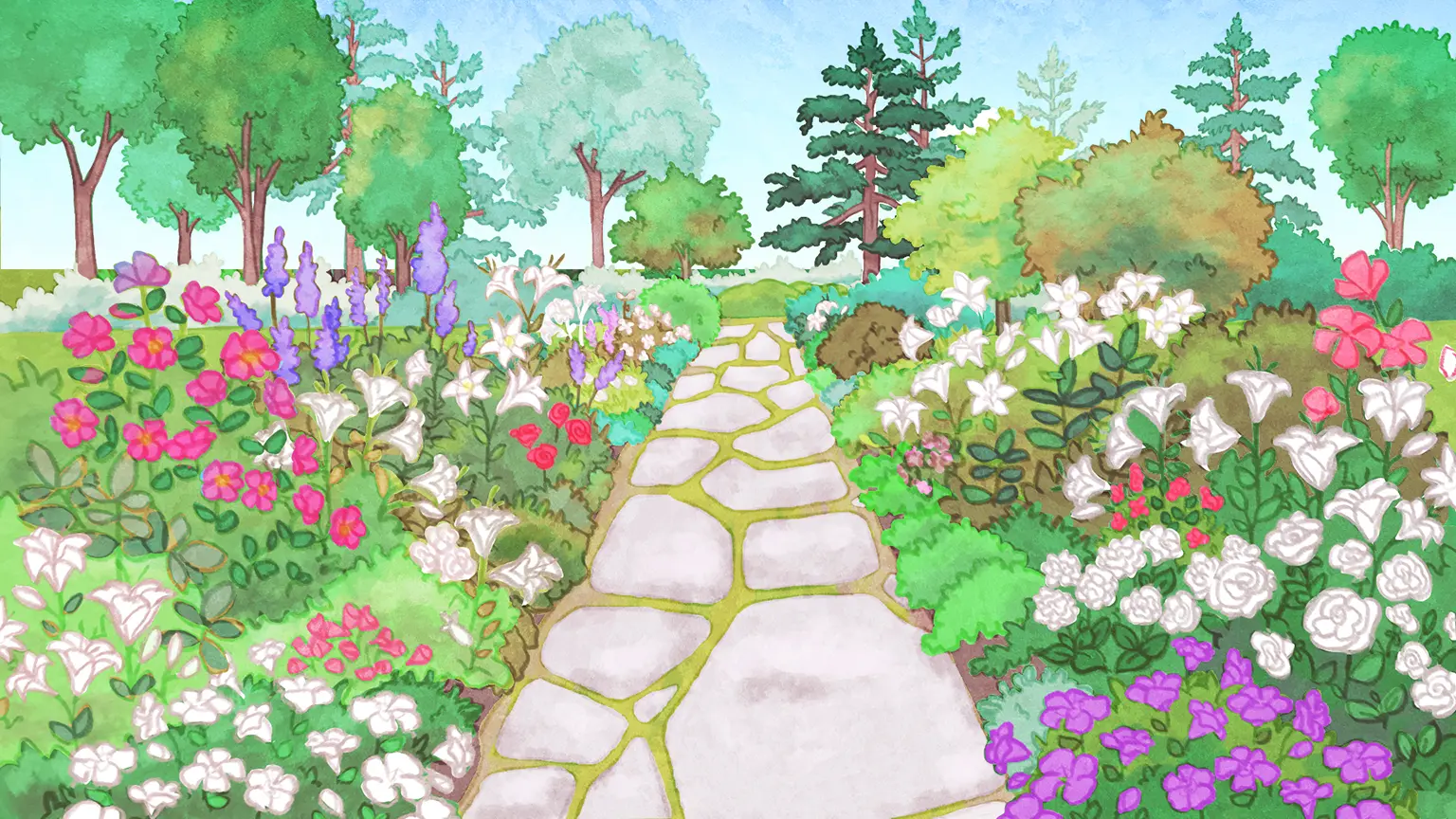 Ce dessin représente l’Allée royale. Un sentier de grandes pierres grises sépare le dessin en plein centre et crée deux platebandes. Les platebandes sont couvertes de lis blancs, de roses rouges, de fleurs violettes et de buissons d’un vert dense. On voit quelques arbres feuillus et conifères au fond du dessin.