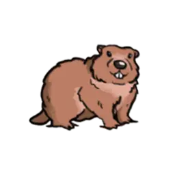 Marmotte
